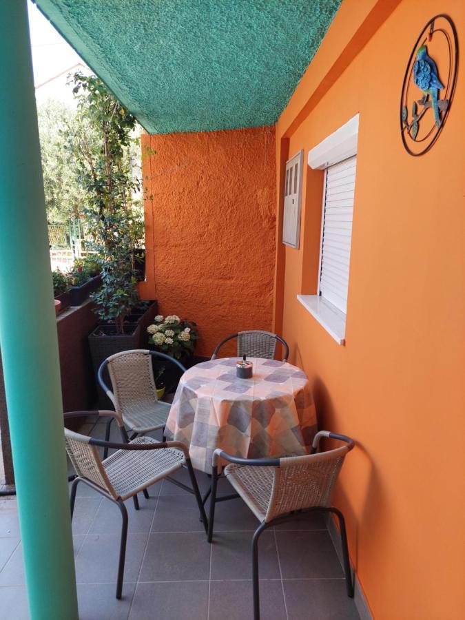 Mexicana Apartment Yellow Zadar Dış mekan fotoğraf