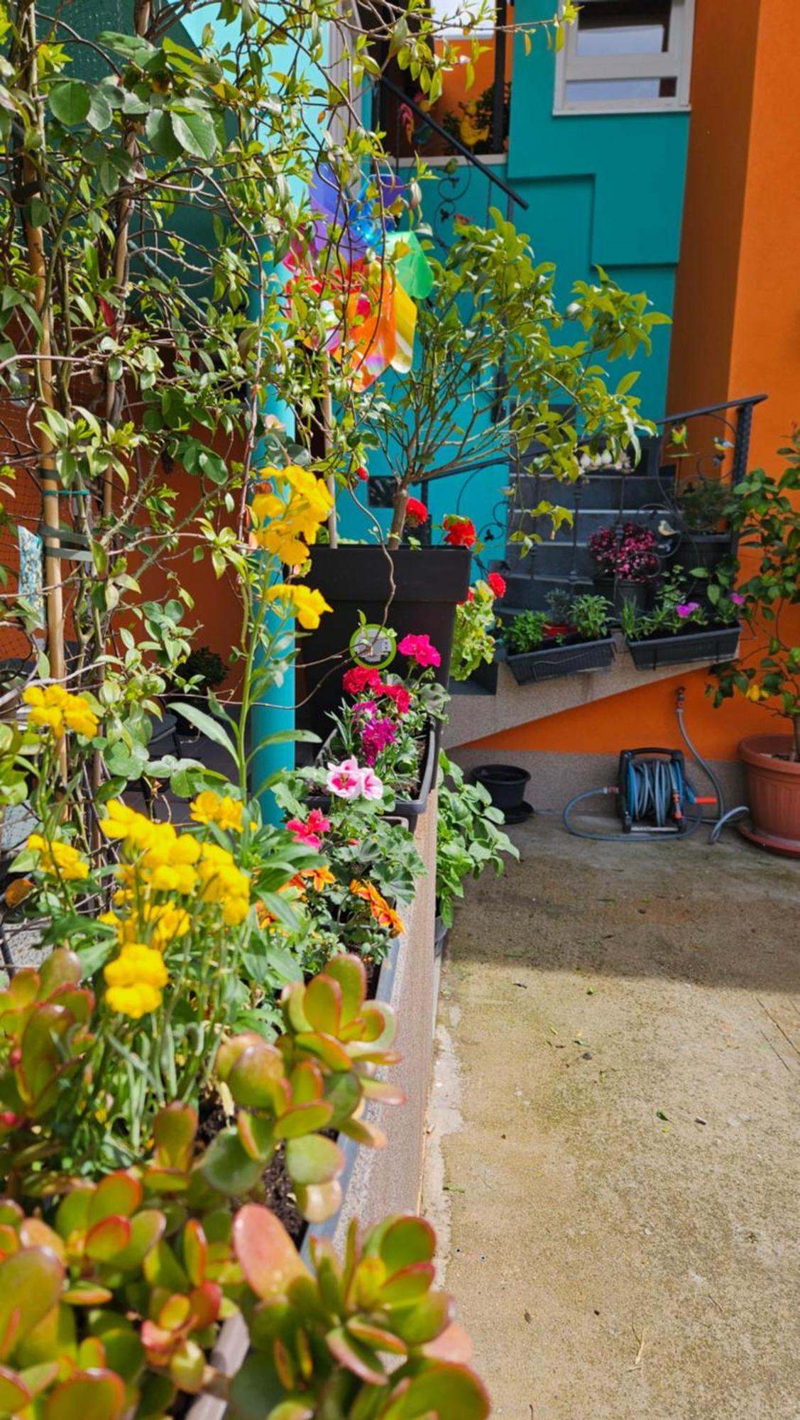 Mexicana Apartment Yellow Zadar Dış mekan fotoğraf
