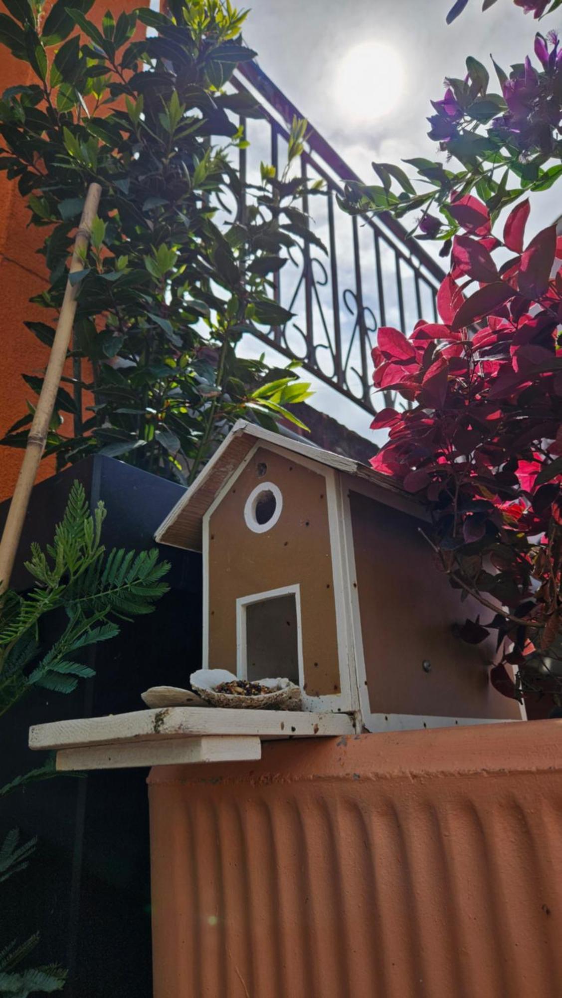 Mexicana Apartment Yellow Zadar Dış mekan fotoğraf